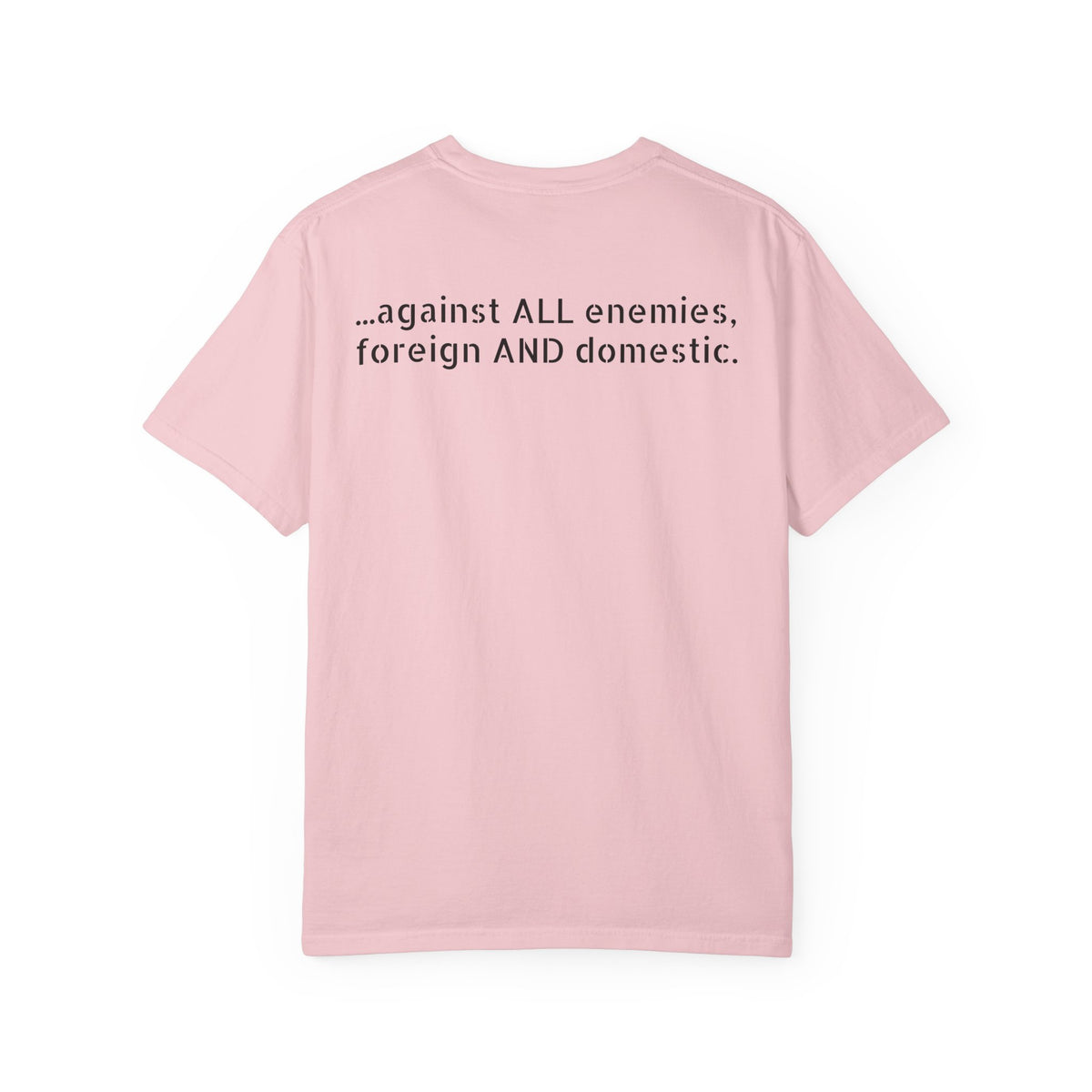 …against all enemies, foreign AND domestic.